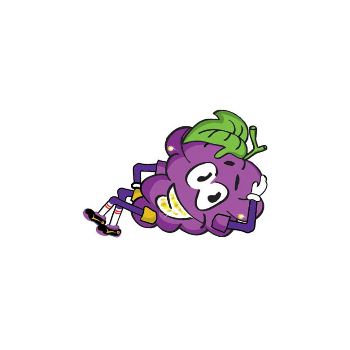 PURPLE STUFF PREMIUM GRAPE SODA SCENT AIR FRESHENER 0,473l PURPLE STUFF PREMIUM GRAPE SODA SCENT AIR FRESHENER 0,473l