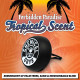 Vent Clip Air Freshener, Tropical Scent