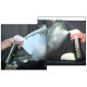 SIGNATURE SERIES GLASS CLEANER 0,473l